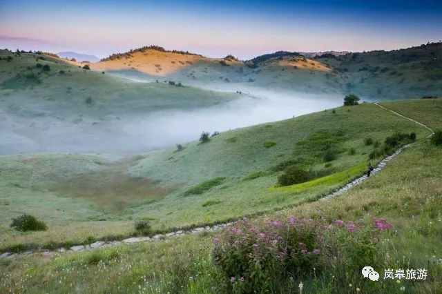 安康富硒茶名气大不大(安康富硒茶属于什么茶)-硒宝网