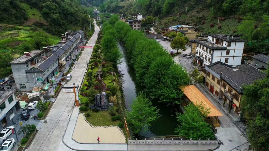 安康富硒茶名气大不大(安康富硒茶属于什么茶)-硒宝网