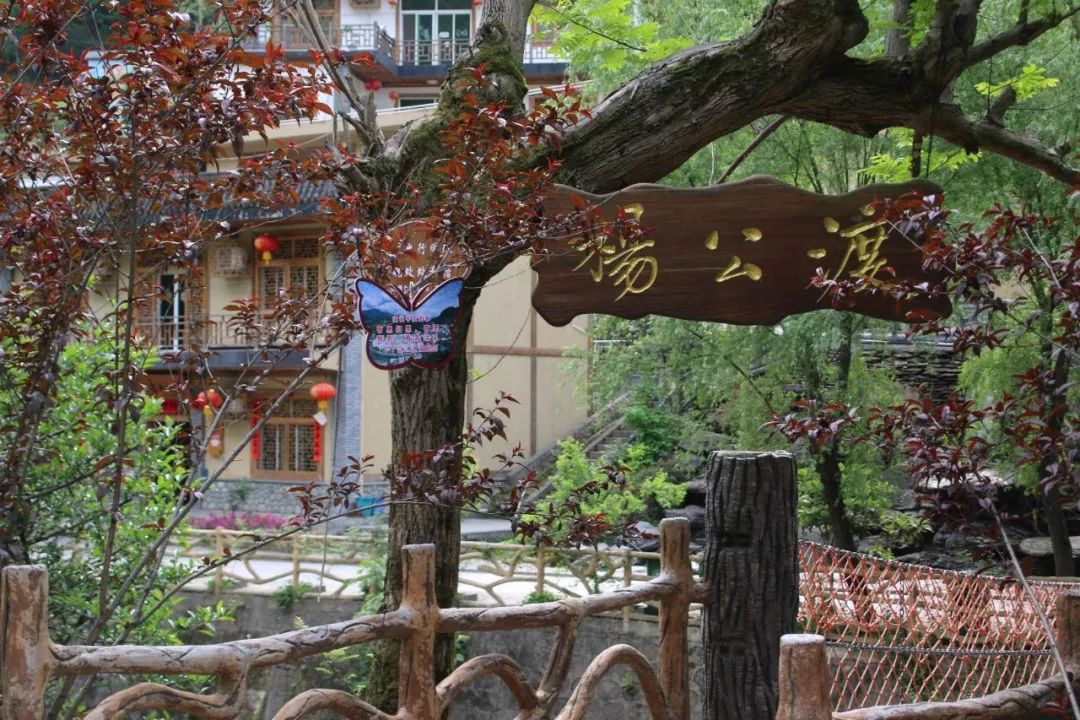 安康富硒茶名气大不大(安康富硒茶属于什么茶)-硒宝网