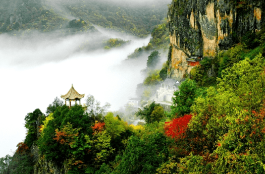 安康富硒茶名气大不大(安康富硒茶属于什么茶)-硒宝网