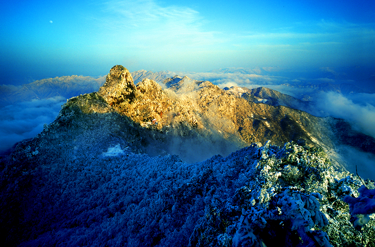 安康富硒茶名气大不大(安康富硒茶属于什么茶)-硒宝网