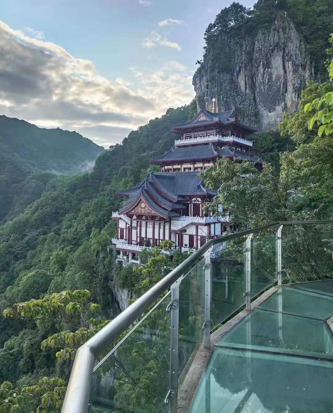 安康富硒茶名气大不大(安康富硒茶属于什么茶)-硒宝网