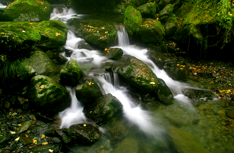 安康富硒茶名气大不大(安康富硒茶属于什么茶)-硒宝网