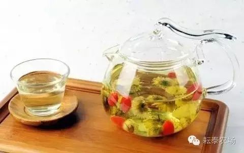 富硒茶喝了容易拉肚子(喝茶拉肚子是排油吗)-硒宝网