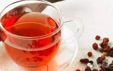 富硒茶喝了容易拉肚子(喝茶拉肚子是排油吗)-硒宝网