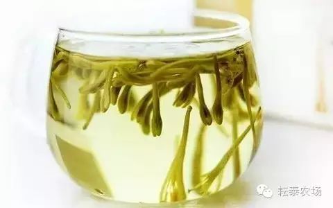 富硒茶喝了容易拉肚子(喝茶拉肚子是排油吗)-硒宝网