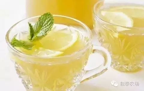 富硒茶喝了容易拉肚子(喝茶拉肚子是排油吗)-硒宝网