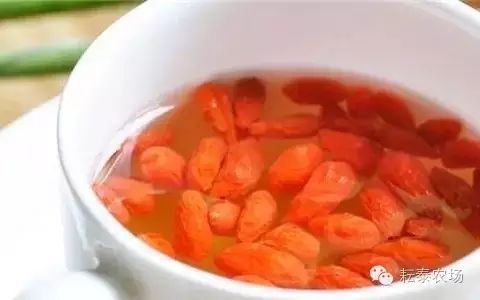 富硒茶喝了容易拉肚子(喝茶拉肚子是排油吗)-硒宝网