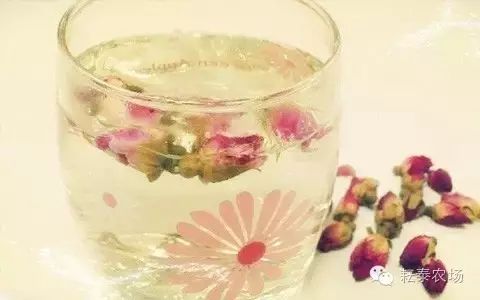 富硒茶喝了容易拉肚子(喝茶拉肚子是排油吗)-硒宝网