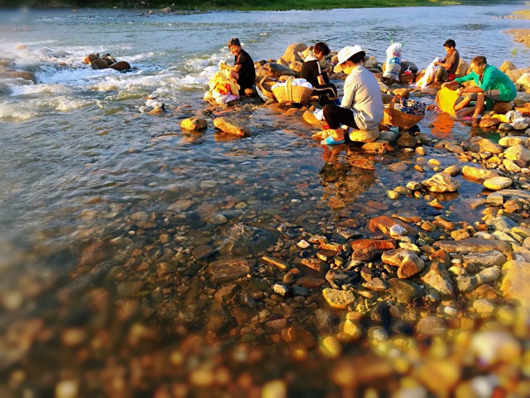 安康富硒茶名气大不大（安康富硒茶最古老的茶）-硒宝网