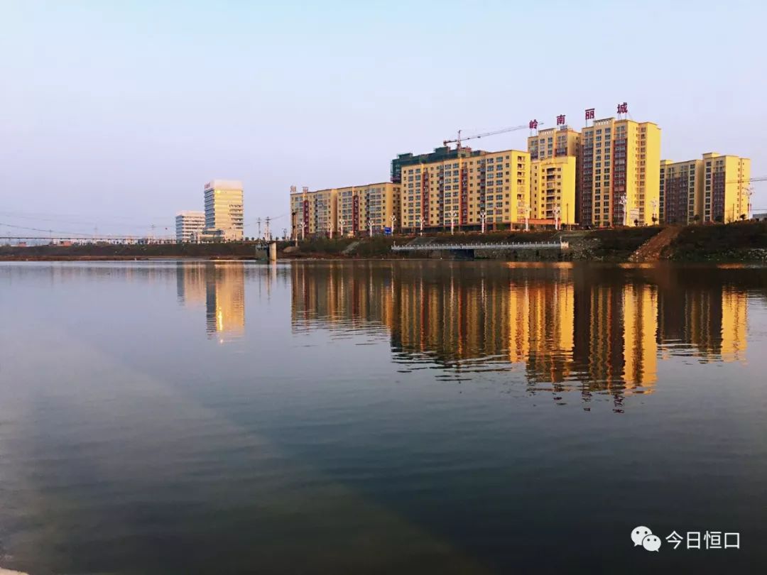 安康富硒茶名气大不大（安康富硒茶最古老的茶）-硒宝网