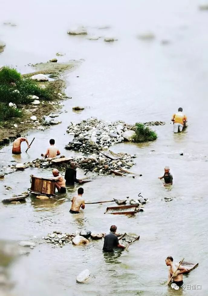 安康富硒茶名气大不大（安康富硒茶最古老的茶）-硒宝网