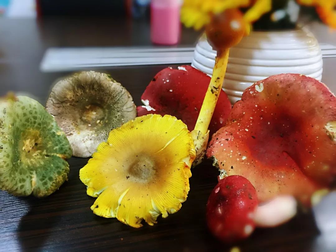 安康富硒茶名气大不大（安康富硒茶最古老的茶）-硒宝网