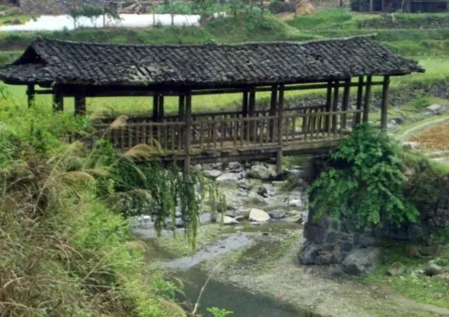 湖南富硒茶玉露多少钱（玉露富硒茶多少钱）-硒宝网