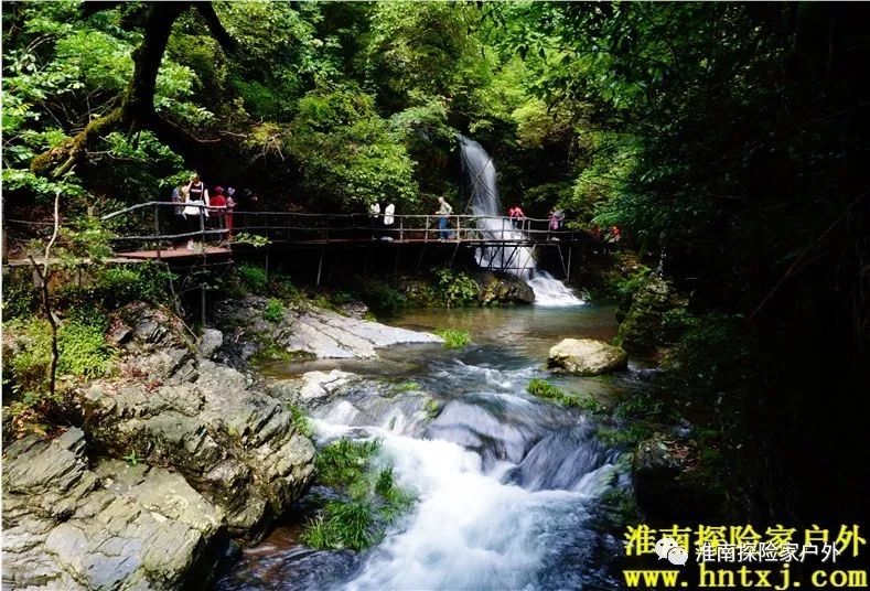 石台富硒茶的环境分析(石台富硒茶叶)-硒宝网