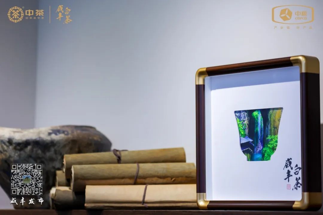 江苏恩施富硒茶加工厂（恩施富硒茶市场定位分析）-硒宝网