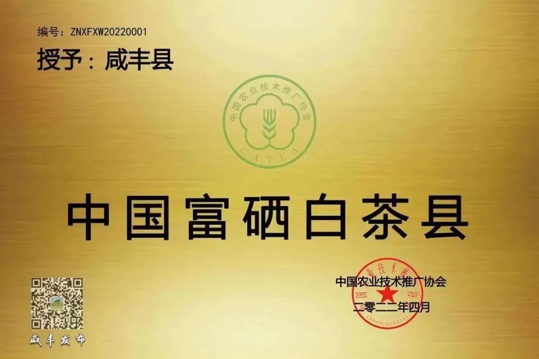 江苏恩施富硒茶加工厂（恩施富硒茶市场定位分析）-硒宝网