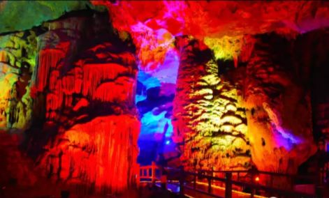 安康富硒茶名气大不大(安康富硒茶品牌)-硒宝网