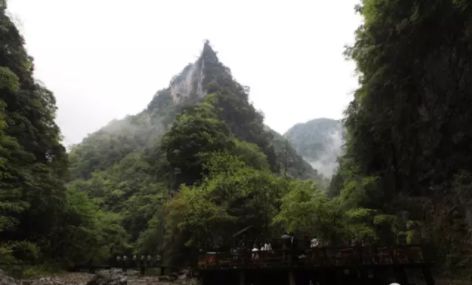 安康富硒茶名气大不大(安康富硒茶品牌)-硒宝网