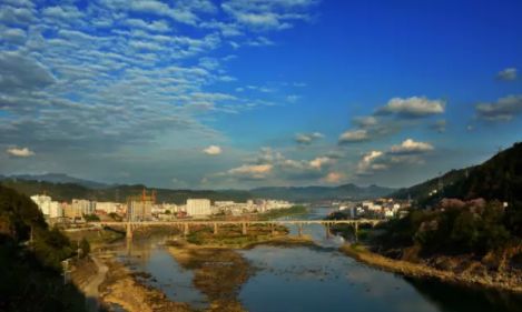 安康富硒茶名气大不大(安康富硒茶品牌)-硒宝网