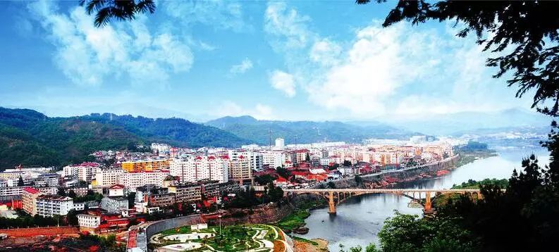 安康富硒茶名气大不大(安康富硒茶品牌)-硒宝网