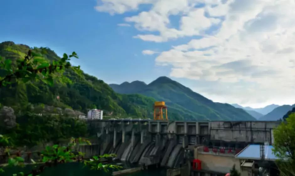 安康富硒茶名气大不大(安康富硒茶品牌)-硒宝网