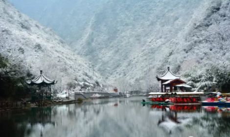 安康富硒茶名气大不大(安康富硒茶品牌)-硒宝网