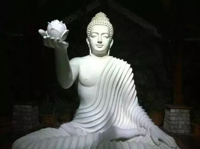 湖北恩施芳都尚富硒茶（恩施富硒新茶）-硒宝网