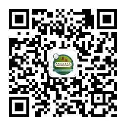 补铁的蔬菜有哪些（蔬菜水果补铁）-硒宝网