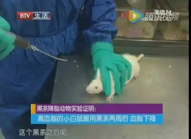 富硒茶可不可以降血糖(血糖降茶富硒可可以喝吗)-硒宝网