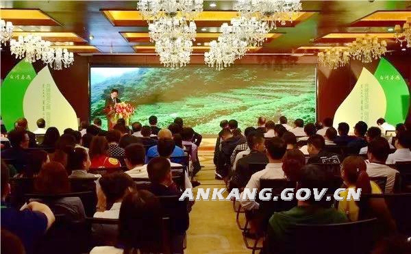 四大富硒茶乡是哪四个(富硒茶之乡)-硒宝网