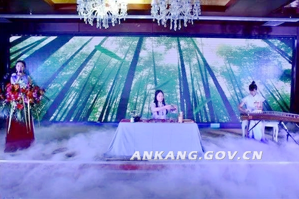 四大富硒茶乡是哪四个(富硒茶之乡)-硒宝网