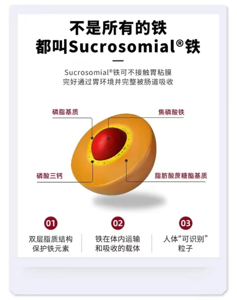 孕妇补铁每天多少毫克(每天孕妇补铁多少克)-硒宝网