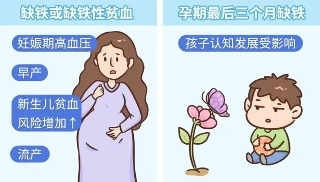 孕妇补铁每天多少毫克(每天孕妇补铁多少克)-硒宝网