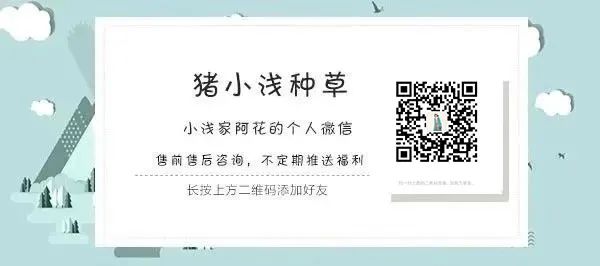 孕妇补铁每天多少毫克(每天孕妇补铁多少克)-硒宝网