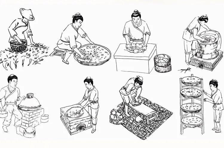 茶小硒恩施高山富硒茶（湖北恩施高山硒茶）-硒宝网