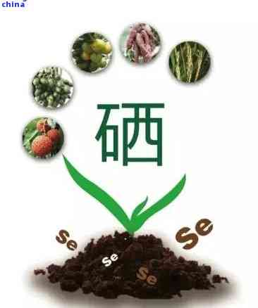 富硒茶含富硒多少毫克(富硒茶含量国家标准最新)-硒宝网