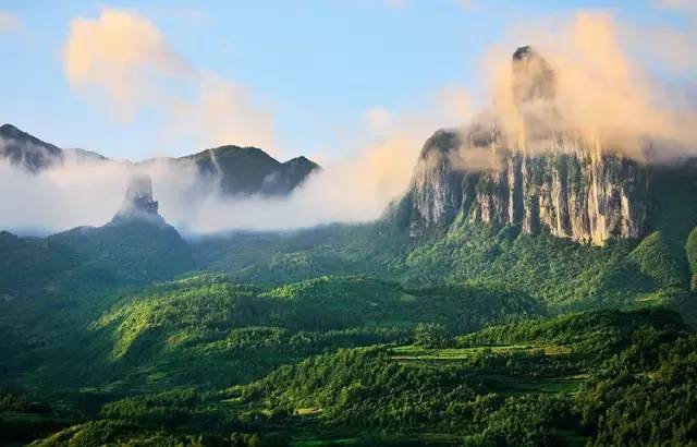 茶小硒恩施高山富硒茶(恩施富硒茶)-硒宝网