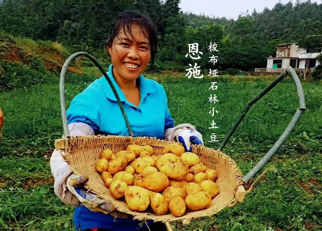 茶小硒恩施高山富硒茶(恩施富硒茶)-硒宝网