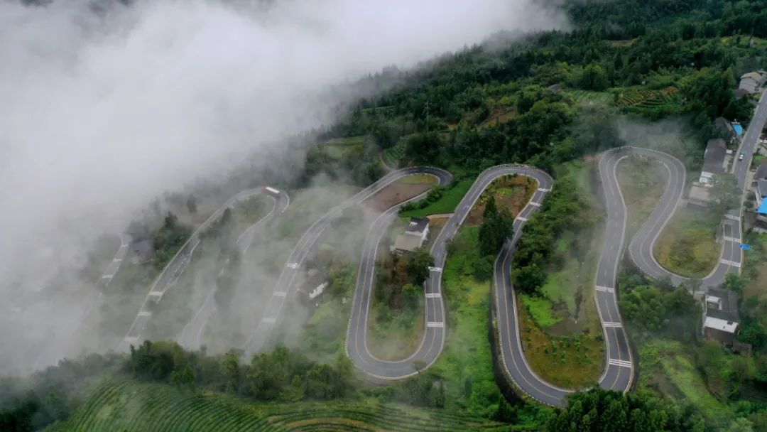 茶小硒恩施高山富硒茶(恩施富硒茶)-硒宝网