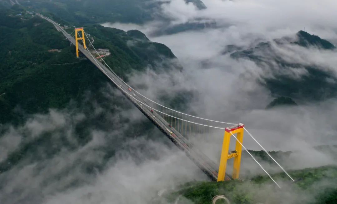 茶小硒恩施高山富硒茶(恩施富硒茶)-硒宝网