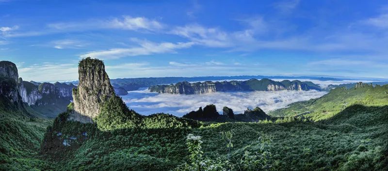 茶小硒恩施高山富硒茶(恩施富硒茶)-硒宝网