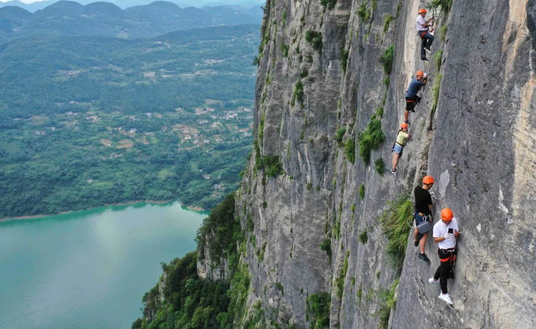 茶小硒恩施高山富硒茶(恩施富硒茶)-硒宝网