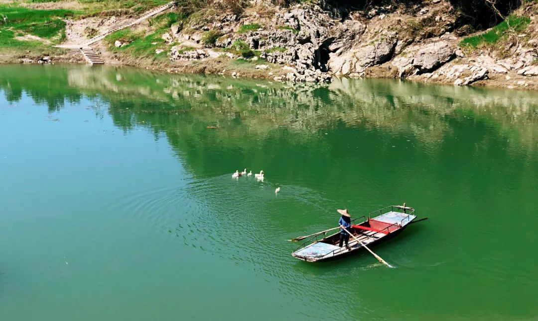 茶小硒恩施高山富硒茶(恩施富硒茶)-硒宝网