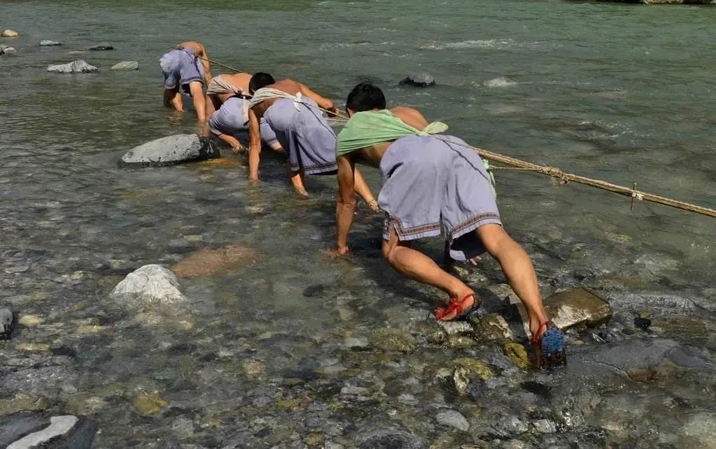 茶小硒恩施高山富硒茶(恩施富硒茶)-硒宝网