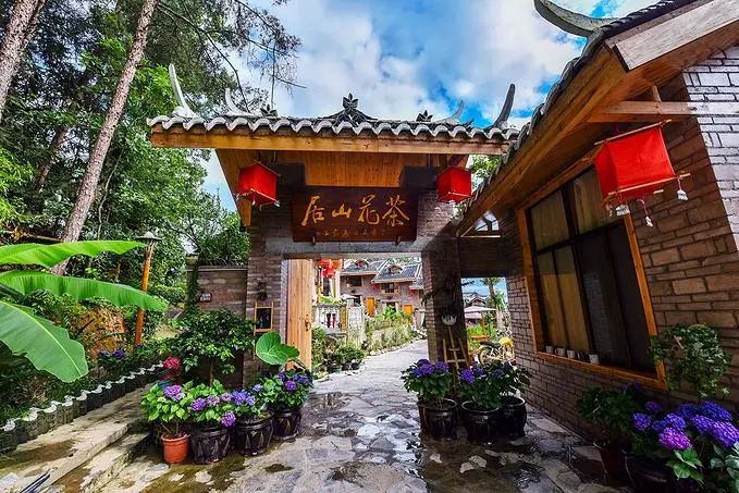 茶小硒恩施高山富硒茶(恩施富硒茶)-硒宝网