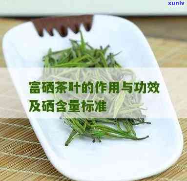 富硒茶的富硒生产技术(富硒茶生产技术规程)-硒宝网