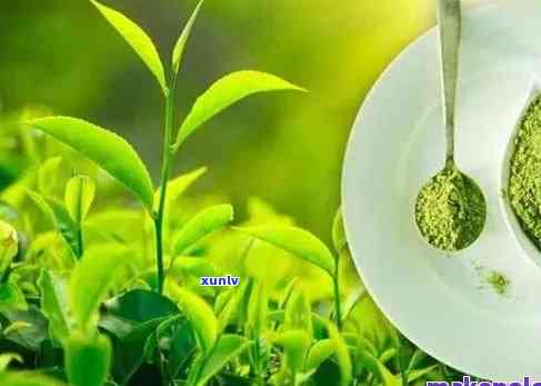 富硒茶的富硒生产技术(富硒茶生产技术规程)-硒宝网