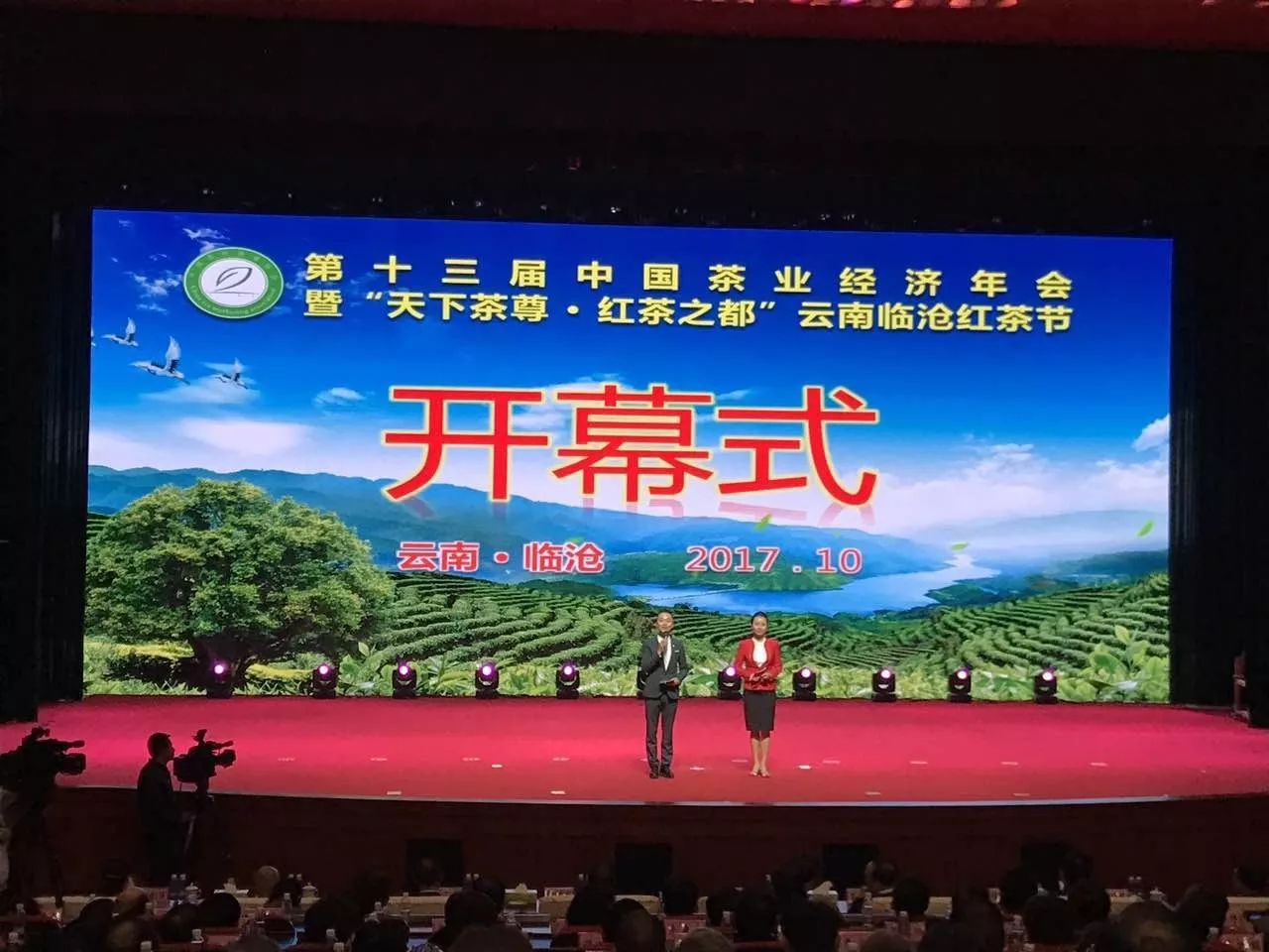 凤冈茶凤冈富锌富硒茶(凤岗硒锌茶的功效)-硒宝网