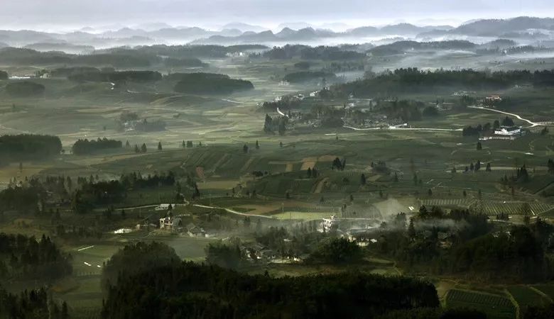 凤冈茶凤冈富锌富硒茶(凤岗硒锌茶的功效)-硒宝网